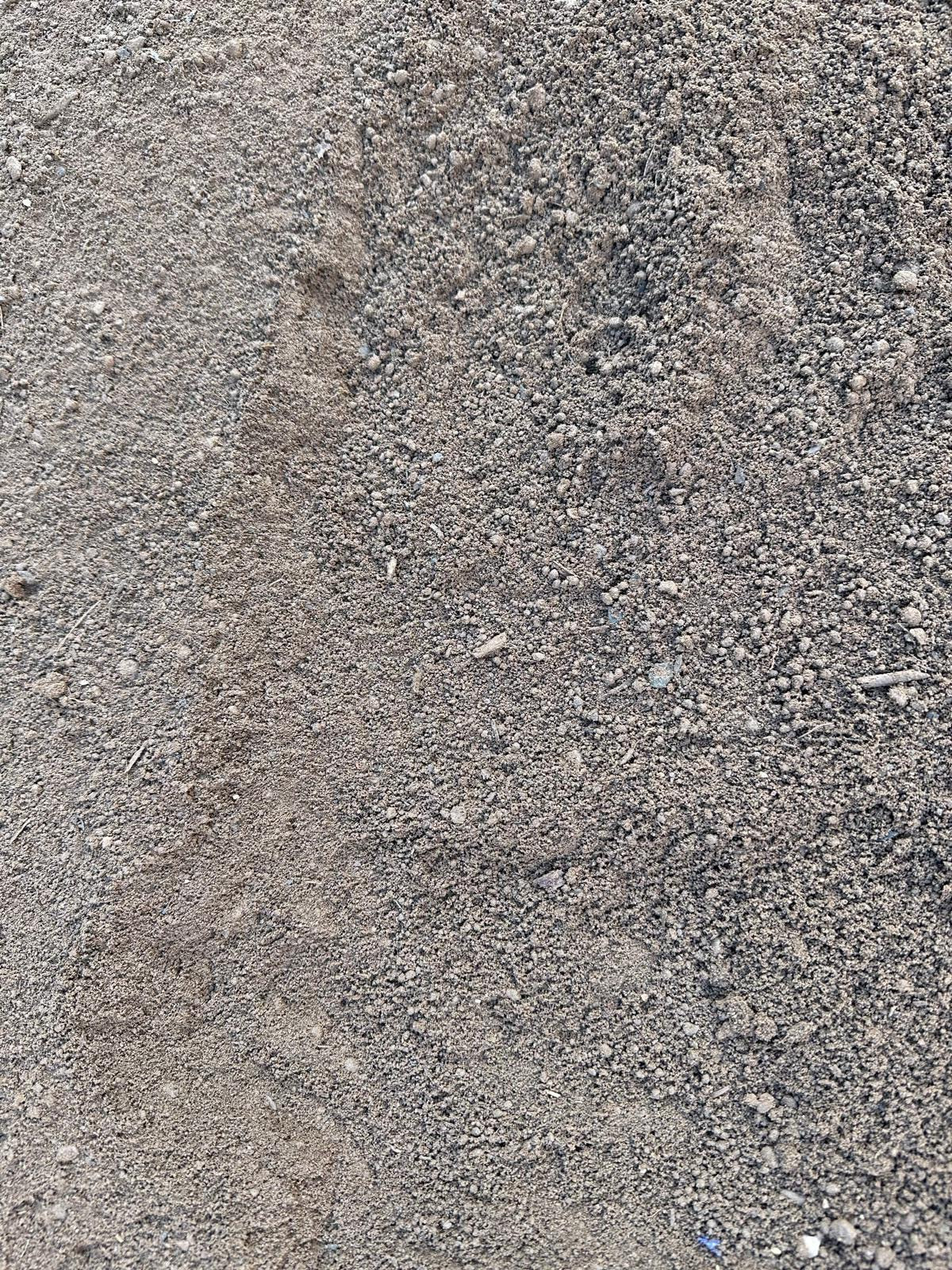 Screened Topsoil