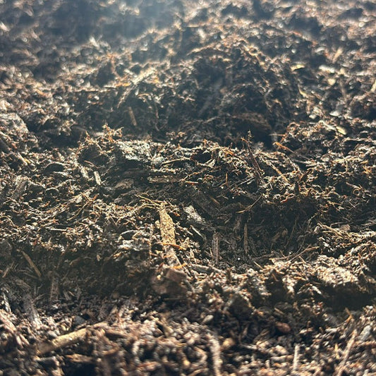 Premium Pine Bark Mulch