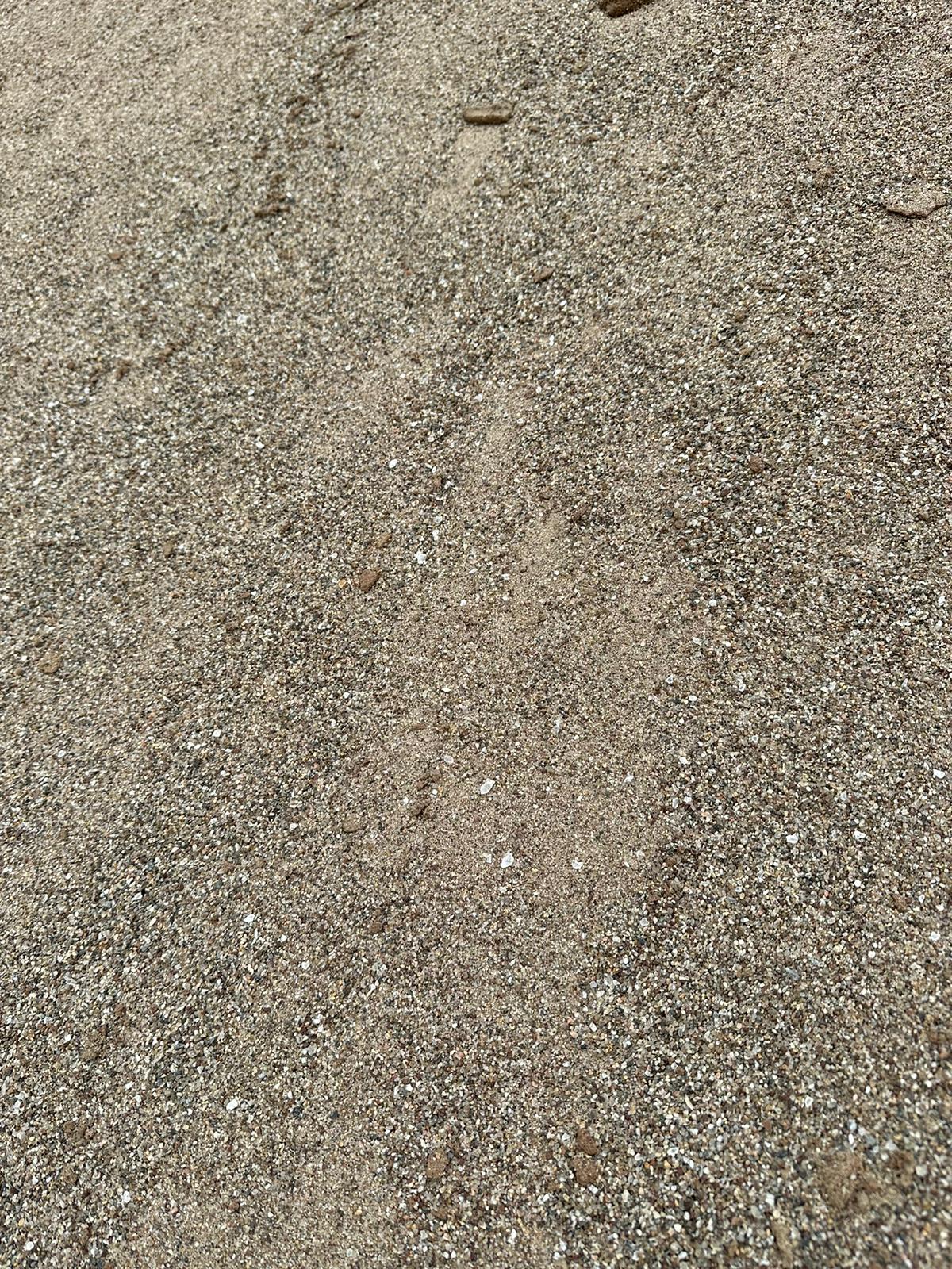 Concrete Sand