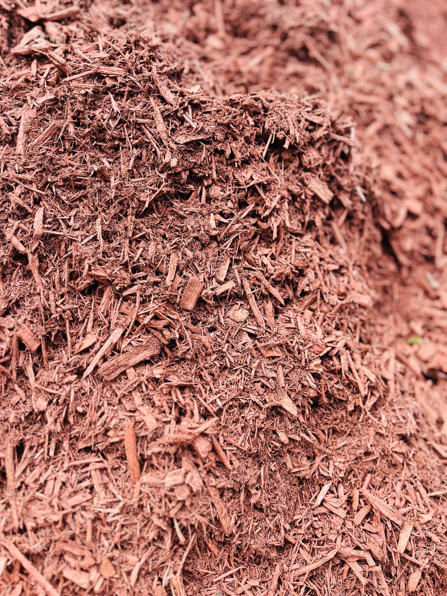 Dyed Red Mulch