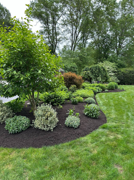How to Get Your Property Ready for the Spring Season: