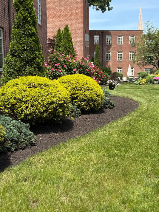DIY Enthusiast? Here's How You Can Build the Garden of Your Dreams!