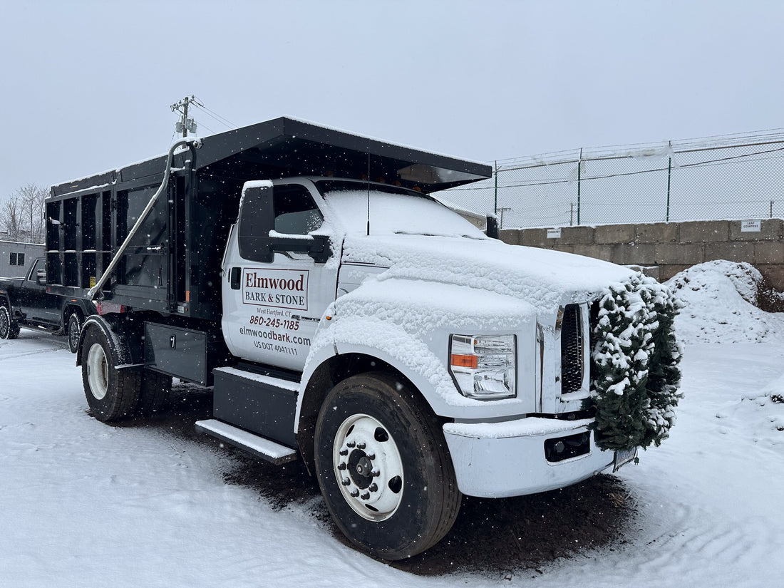 Elmwood Bark Prepared for the Winter Storm!  On National News