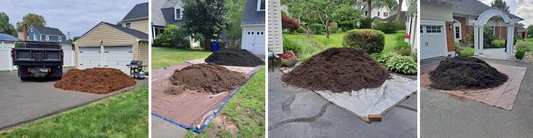 DIY Enthusiast? Here's How You Can Build the Garden of Your Dreams!