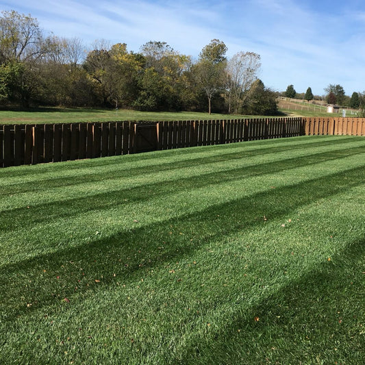Topsoil vs. Compost: Which Is Better for Growing Grass?