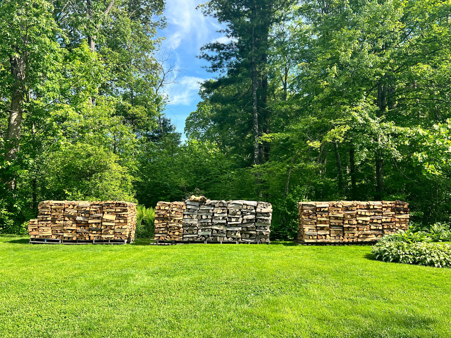 Green Firewood