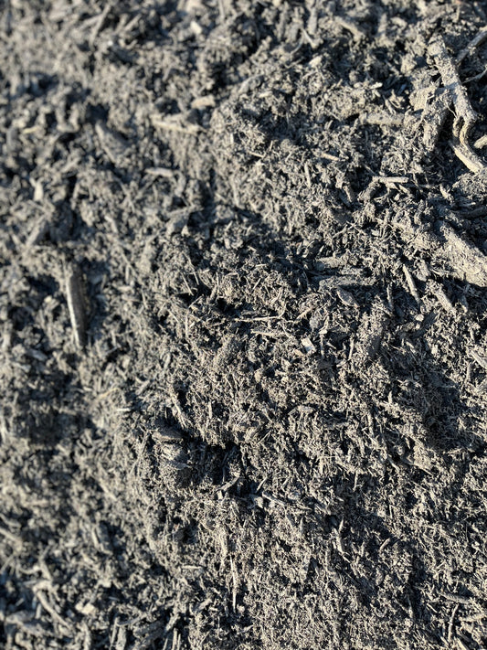 Dyed Black Mulch